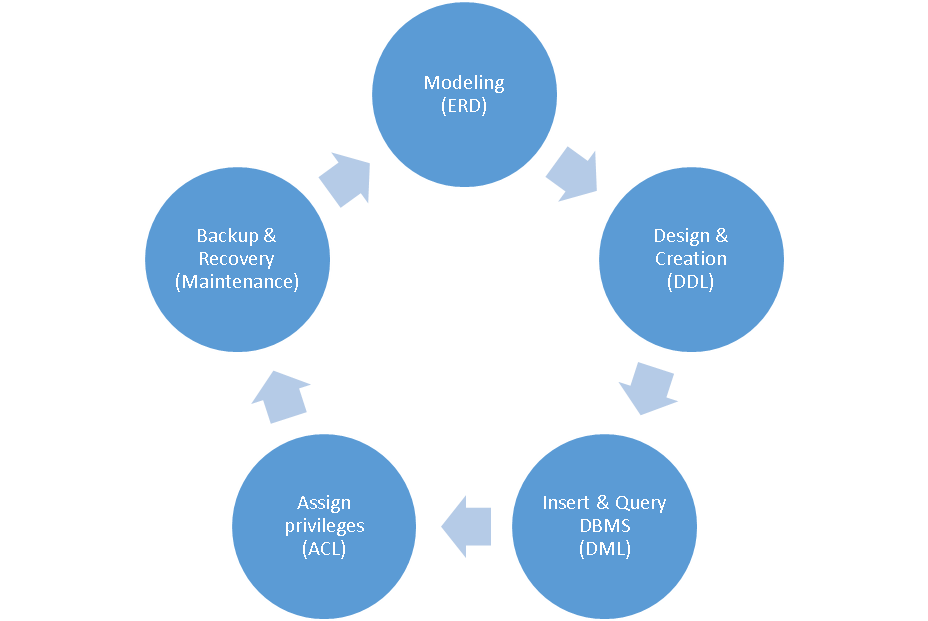 Cycle of DBA activities: modeling (ERD), design and creation (DDL), insert and query DBMS (DML), assign privileges (ACL), backup and recovery (maintenance), returning to modeling.