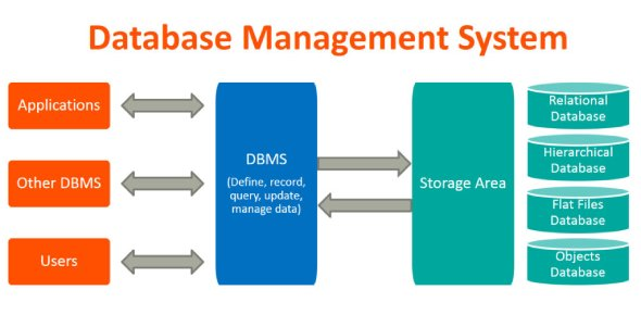 Diagram: applications, other DBMS and users all interact with a central DBMS, which manages a storage area holding relational, hierarchical, flat-file and object databases.